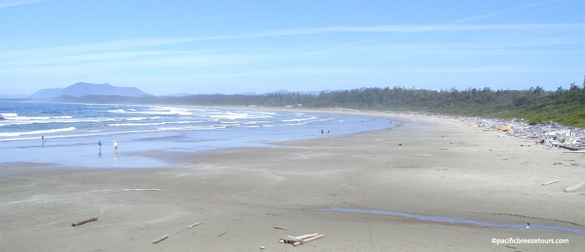 Victoria BC Tsunami Tour